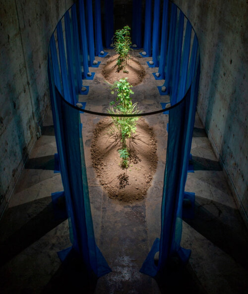 The Forbidden Garden of Europe by Studio Wild in the Venice Biennale of Architecture