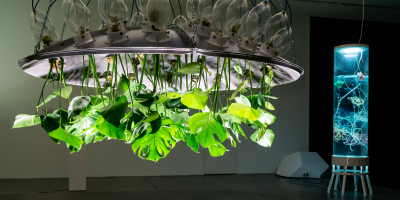 Mary Maggic, Plants of the Future, 2013/2020