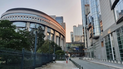 The european parliament