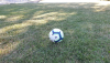 Culture and Sports, A call for Ecoc Network